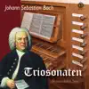 Massimiliano Sanca - J.S. Bach: Organ Sonatas BWVV 525-530